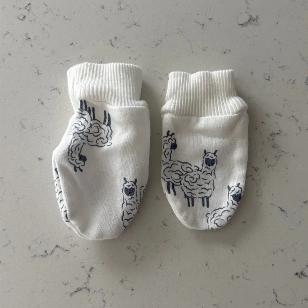 Baby Mittens- Set of 3